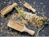 Quinoa Seeds 250g